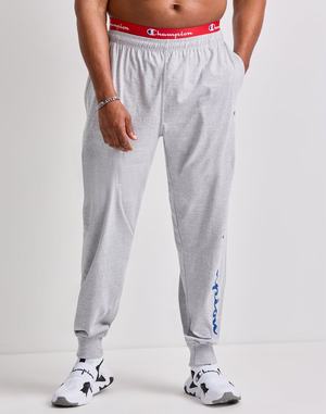 Men's Champion Classic Everyday Cotton 30-34" Jogger Navy | MLTOZ4518
