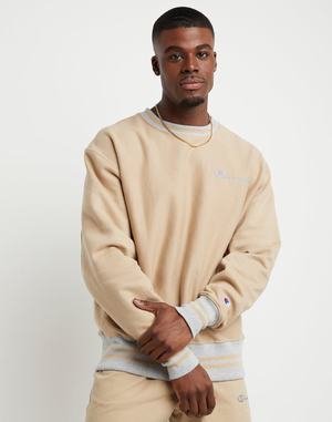 Men's Champion Premium Reverse Weave Hoodie Grey | QIEFZ5983