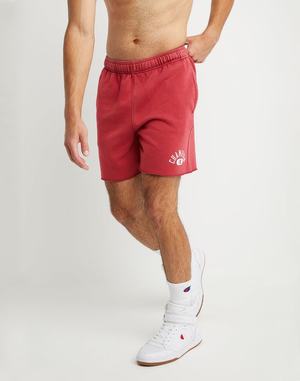 Men's Champion Vintage Wash Varsity 7" Shorts Wash Navy | BOQEW4061