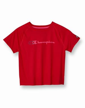 Women's Champion Absolute Graphic Silicone Logo T Shirts Red | QAKDV6752