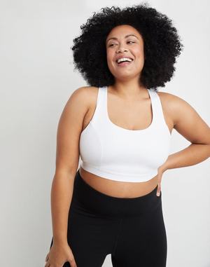 Women's Champion Absolute Sports Bras Black | LRHDN0281