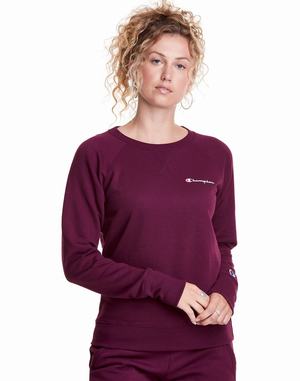 Women's Champion Powerblend Fleece Classic Script Logo Hoodie Blue | ETDKP3187