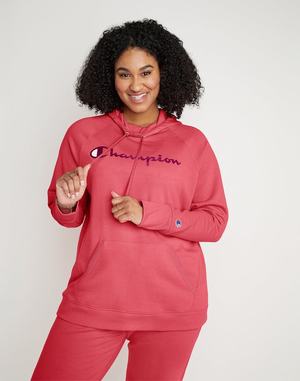 Women's Champion Powerblend Hoodie Grey | BIULC3928