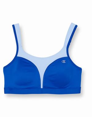 Women's Champion The Spot Comfort Sports Bras Black | JXSOY5810